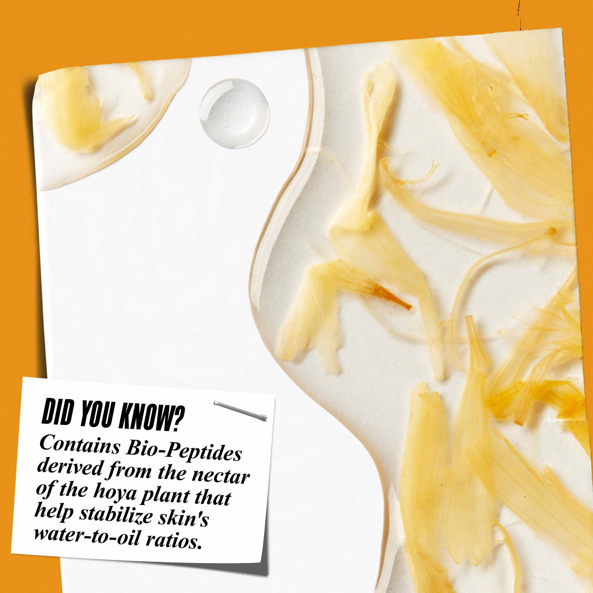 Gros plan sur la texture du tonique Calendula Herbal-Extract Toner avec des petales de calendula et le texte : « Le saviez-vous ? Contient des bio-peptides derives du nectar de la plante hoya qui aident a stabiliser le rapport eau/huile de la peau. »