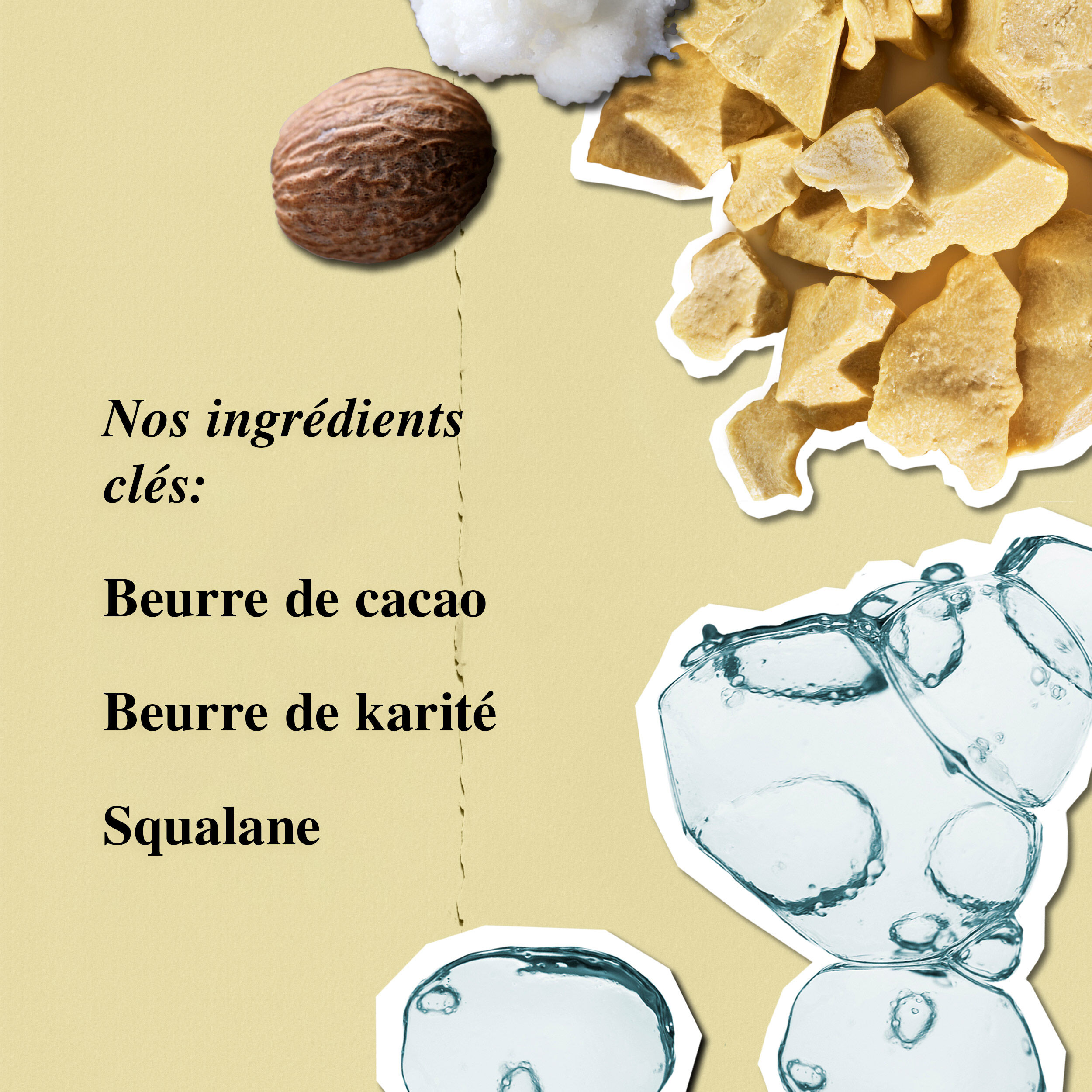 Ingredients du lait pour le corps Creme de Corps Kiehl's - Beurre de Cacao, Beurre de Karite et Squalane