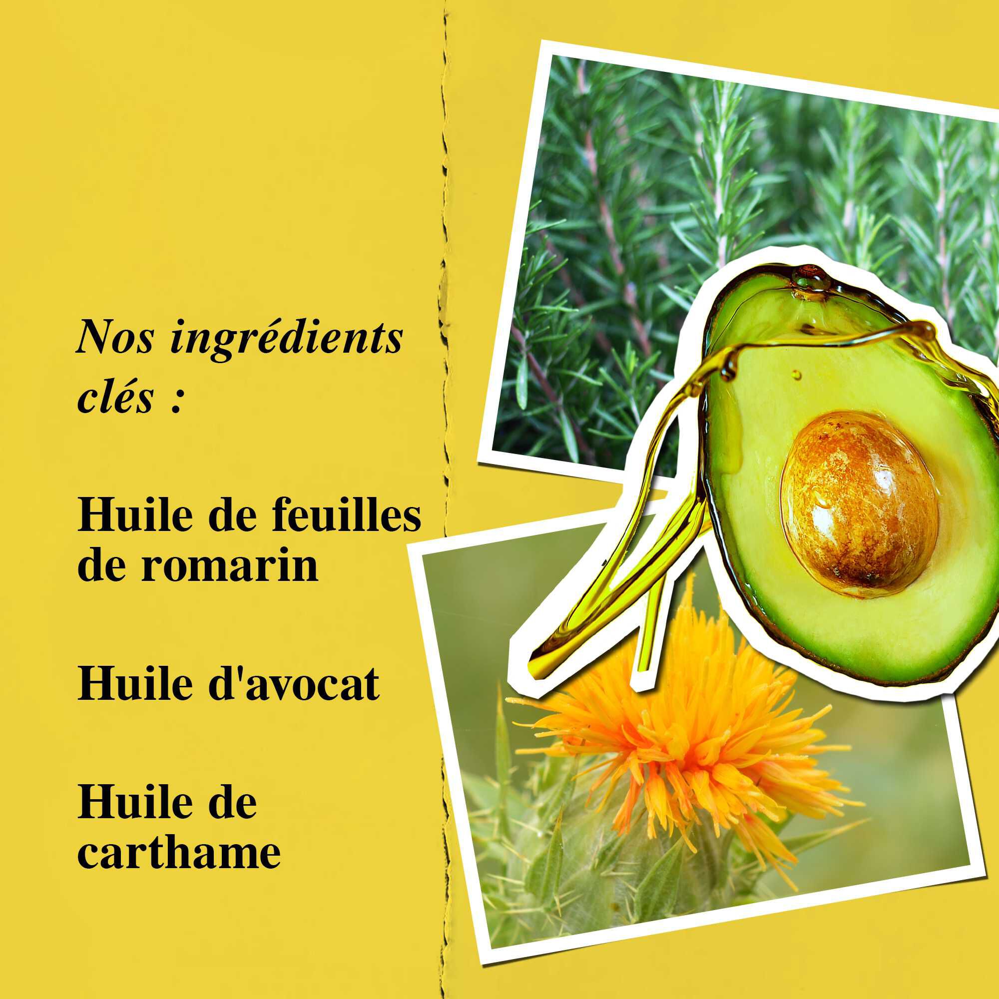 Graphique des ingredients cles mettant en avant l'huile de feuille de romarin, l'huile d'avocat et l'huile de tournesol.