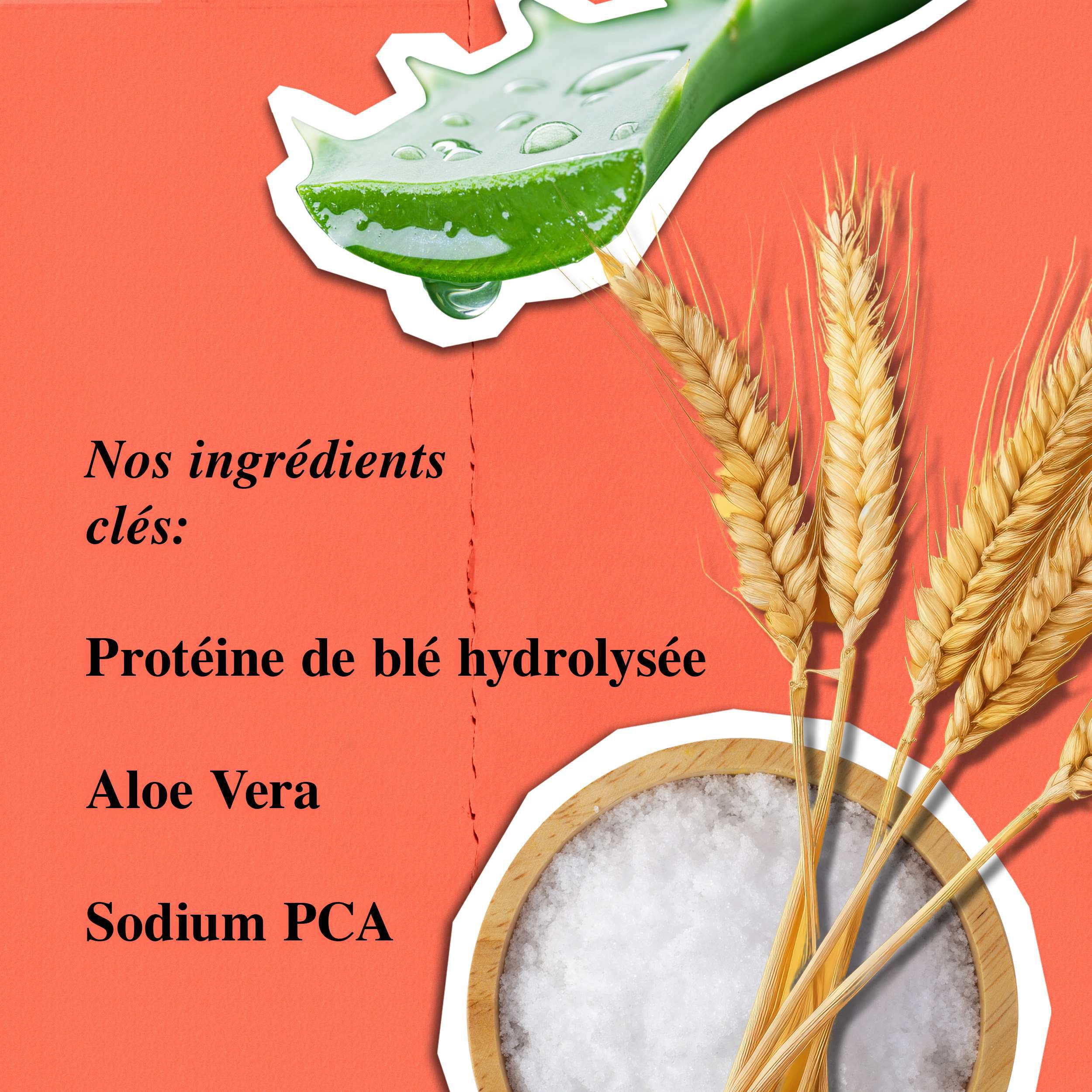 Ingredients du Nettoyant Liquide pour le Corps au Pamplemousse Kiehl's - Serum de ble hydrolyse, Aloe Vera, Sodium PCA