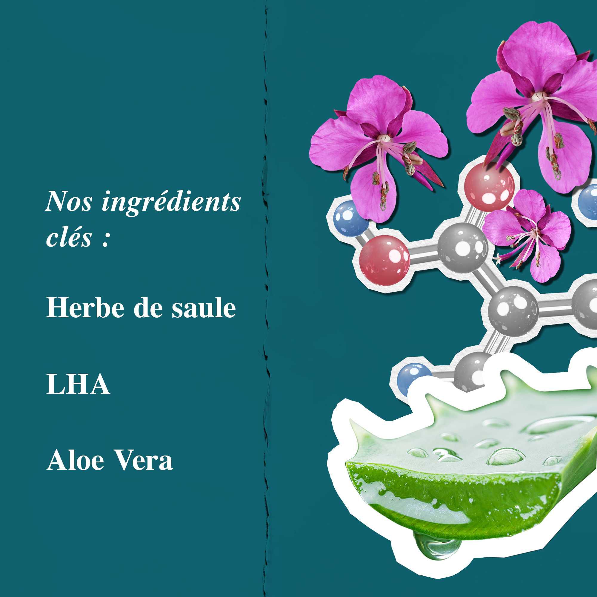 Graphique des ingredients pour la Close Shavers Squadron Smooth Glider Precision Shave Lotion, mettant en avant l'epilobe et l'aloe vera.