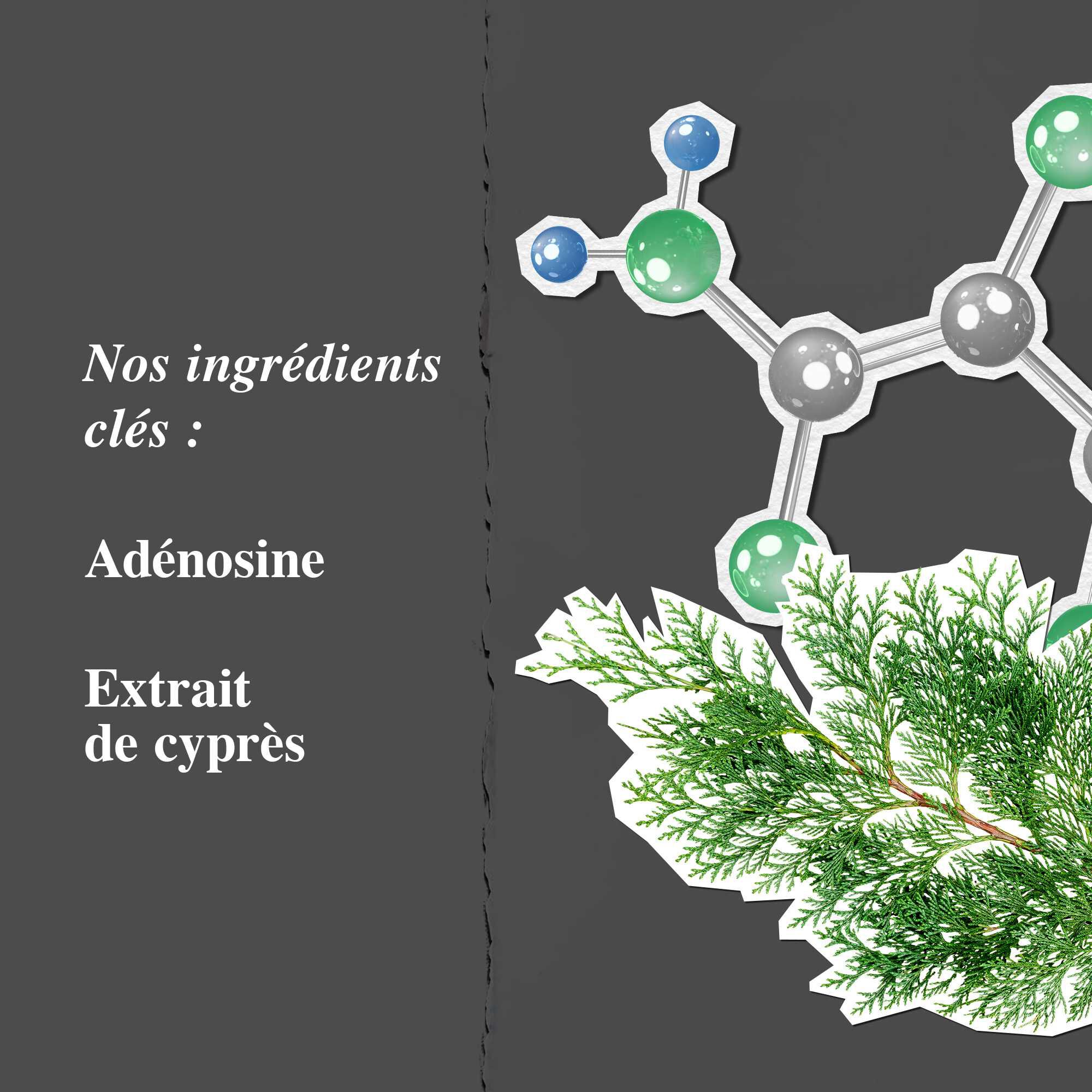 Graphique des ingredients cles mettant en avant l'adenosine et l'extrait de cypres.