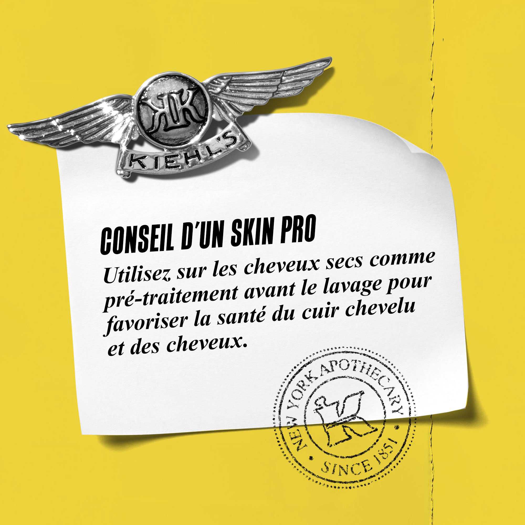 Graphique avec le texte : « Conseil d'expert : A utiliser sur cheveux secs en pre-traitement avant le lavage pour favoriser un cuir chevelu et des cheveux sains. »