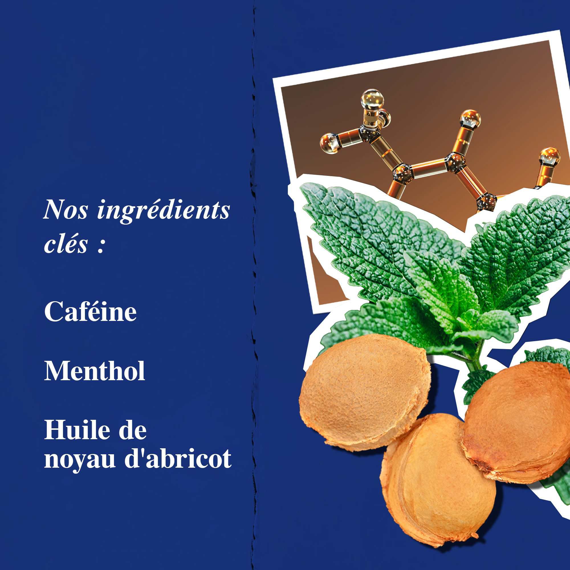 Graphique des ingredients cles mettant en avant la cafeine, le menthol et l'huile de noyau d'abricot.