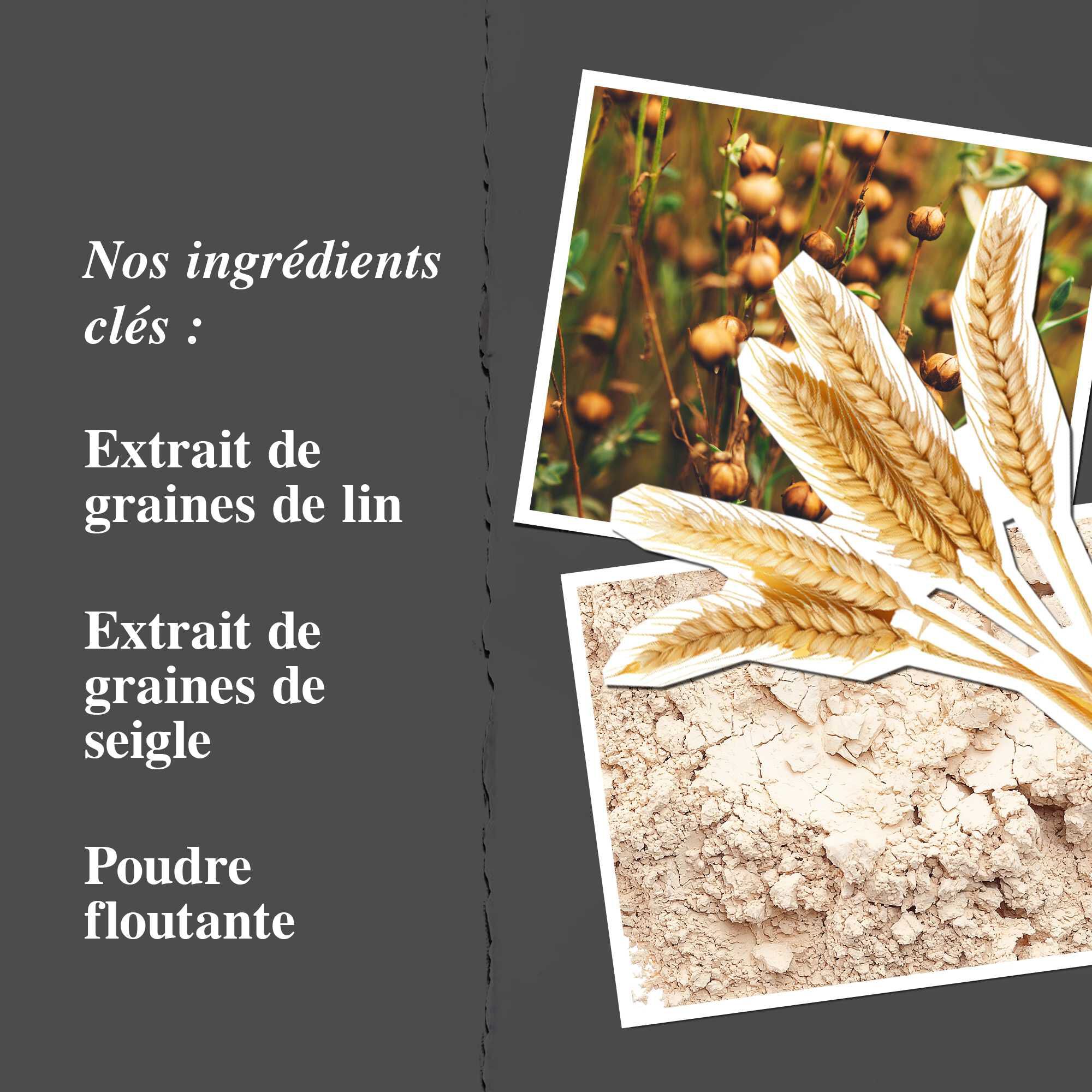 Graphique des ingredients cles mettant en avant l'extrait de lin, l'extrait de graine de seigle et la poudre floutante.