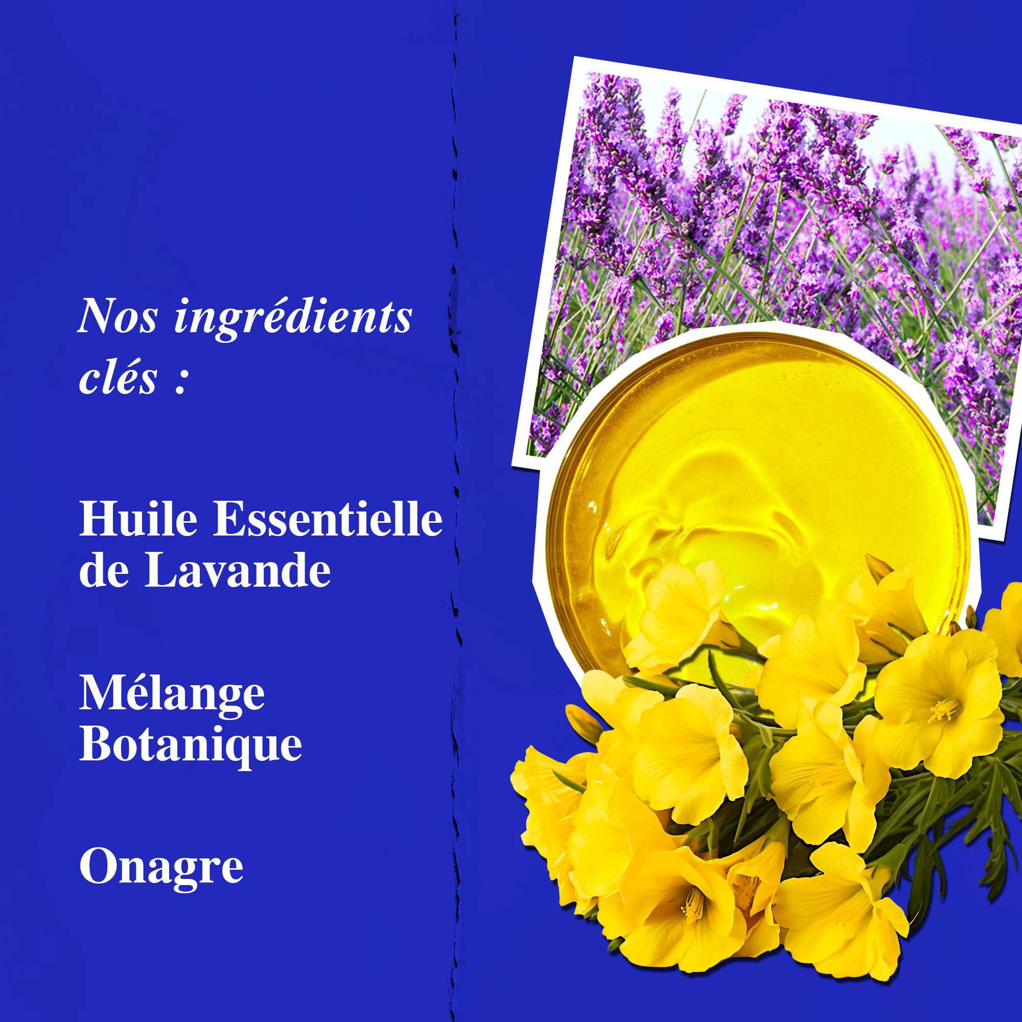 Ingredients cles du Midnight Recovery Concentrate, mettant en avant l'huile essentielle de lavande, l'huile d'onagre et le squalane.
