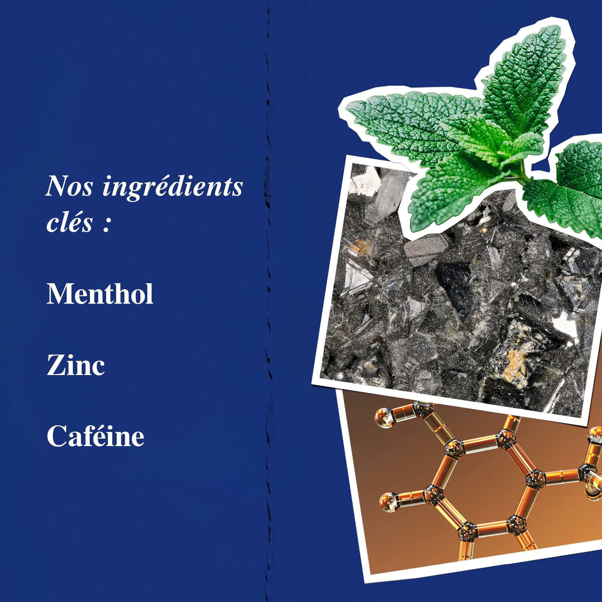 Graphique des ingredients cles mettant en avant le menthol, le zinc et la cafeine.