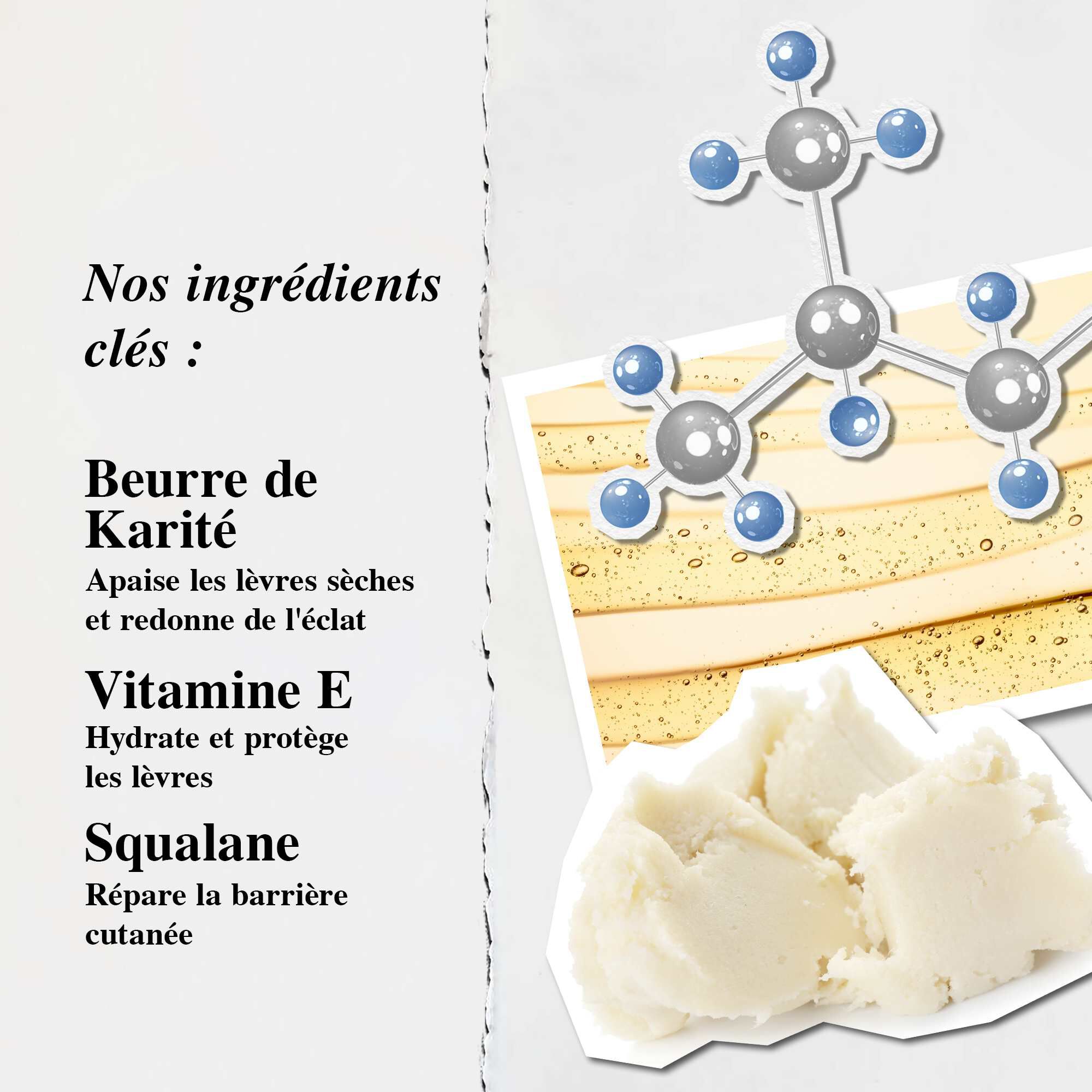 Un graphique mettant en avant les ingredients cles du Lip Balm #1 : beurre de karite, squalane et vitamine E.
