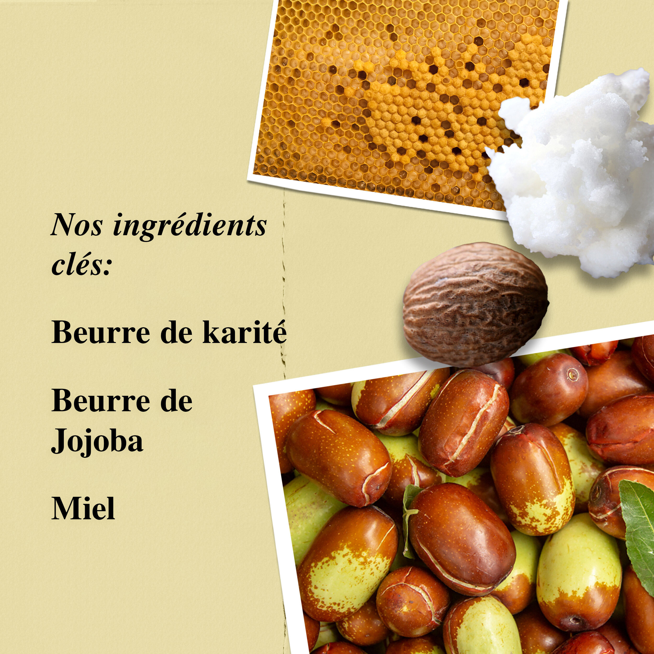 Ingredients du Beurre Corporel Fouette Creme de Corps Kiehl's - Miel, Beurre de Karite et Beurre de Jojoba