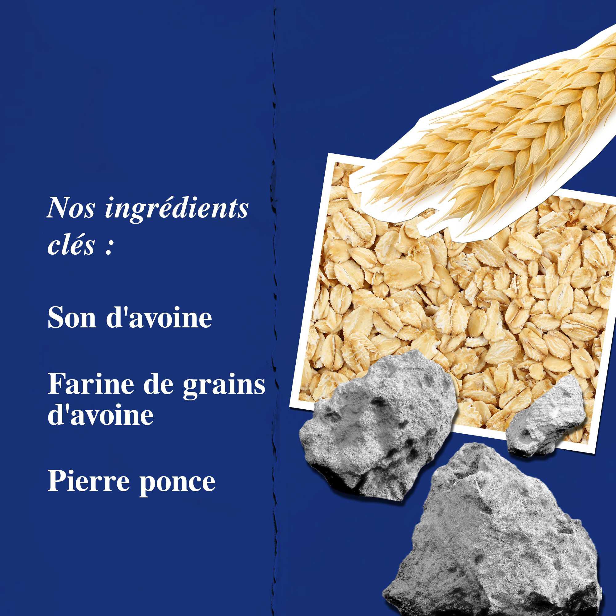 Graphique des ingredients cles mettant en avant le son d'avoine, la farine d'avoine et la pierre ponce.