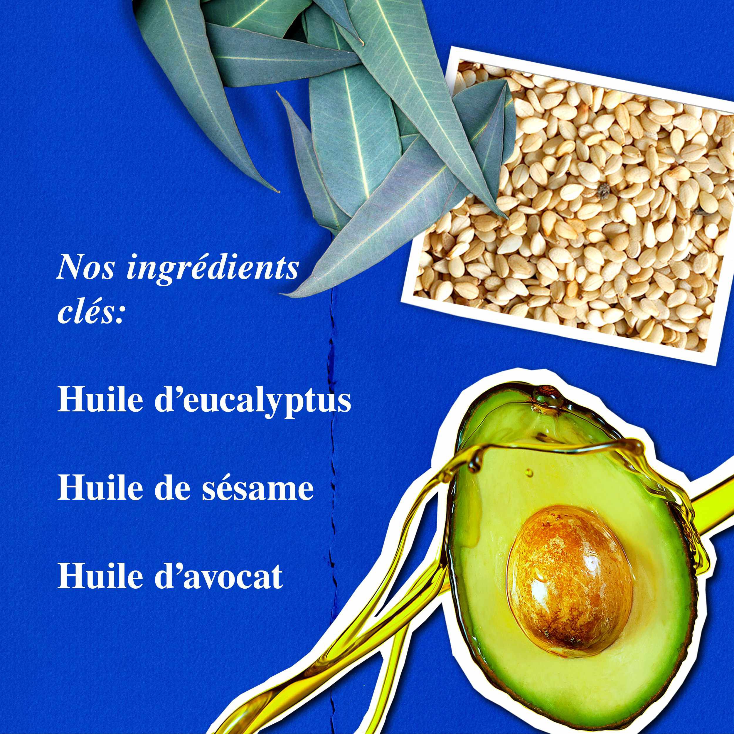 Ingredients de l'Onguent pour les Mains Haute Performance Kiehl's - Huile d'Eucalyptus, Huile de Sesame, Huile d'Avocat