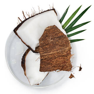 Coupelle en verre avec morceaux de noix de coco, illustrant un ingredient nourrissant et exotique.