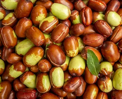 Beurre de Jojoba Kiehl's Ingredient