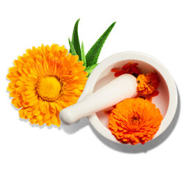 Mortier et pilon avec fleurs de calendula orange, representant un extrait apaisant de calendula.