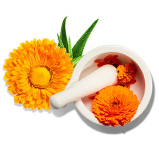 Mortier et pilon avec fleurs de calendula orange, representant un extrait apaisant de calendula.