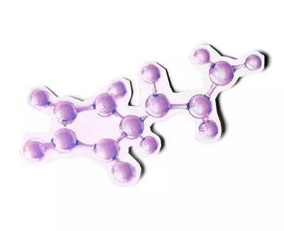 Carnosinee Kiehl's Ingredient