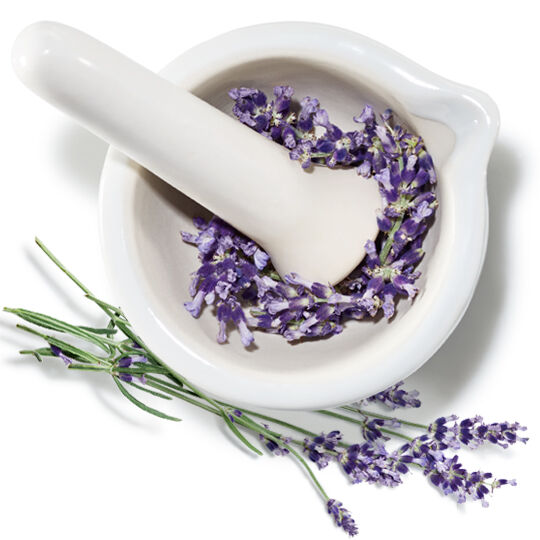 Mortier et pilon avec des fleurs de lavande, representant l'huile essentielle de lavande