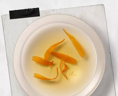 Calendula Kiehl's Ingredient