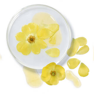 Coupelle en verre avec fleurs jaunes et petales, illustrant l'huile d'onagre