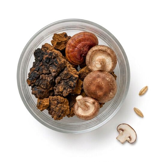 Chaga