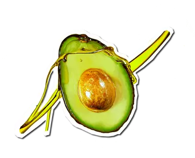 Avocado Oil Kiehl's Ingredient