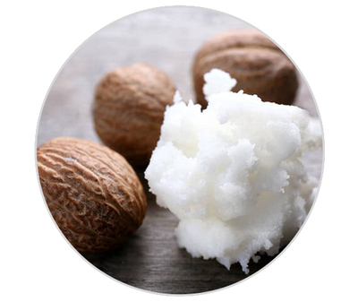 Beurre de karite Kiehl's Ingredient