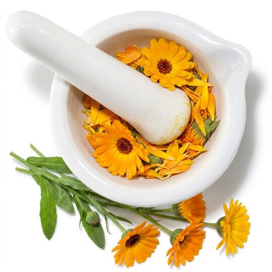 Mortier et pilon avec fleurs de calendula orange, representant un extrait apaisant de calendula.