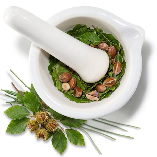 Mortier blanc avec des feuilles vertes, representant l'ingredient extrait de hetre