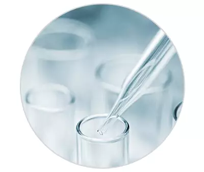 Extrait de savonnier Kiehl's Ingredient