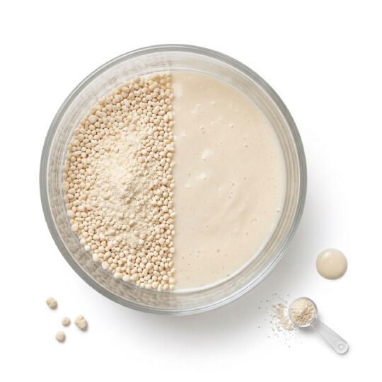 Ferment lactobacillus