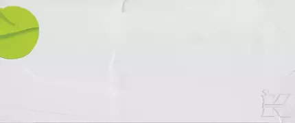 Image minimaliste avec un fond blanc et une forme verte en haut a gauche.