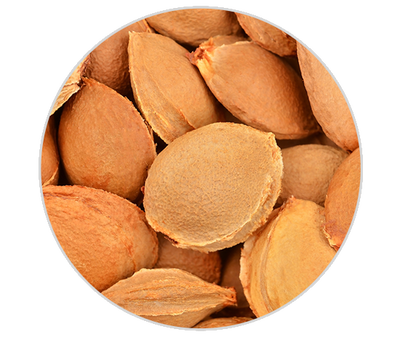 Apricot Kernel Oil Kiehl's Ingredient