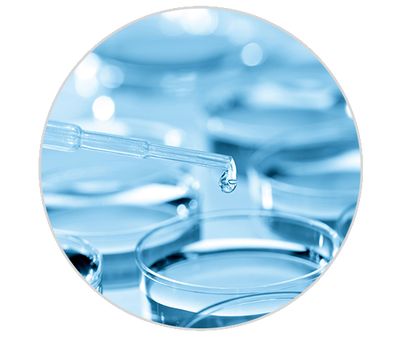 Acide lactique (AHA) Kiehl's Ingredient