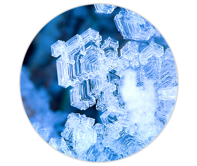 L'antarcticine (Glycoproteine Glaciaire) Kiehl's Ingredient