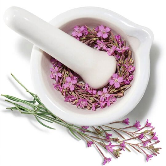 Mortier et pilon avec des fleurs roses, representant un complexe des epilobes