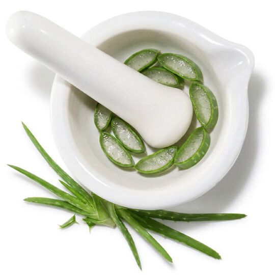Coupelle blanche avec des morceaux d’aloe vera frais, symbole d’un ingredient hydratant et apaisant.