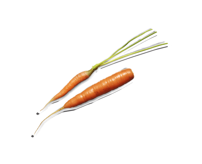 Beta-Carotene Kiehl's Ingredient