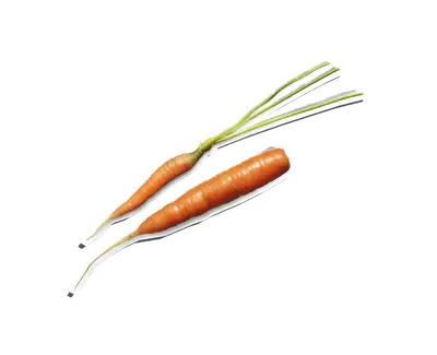 Beta-Carotene Kiehl's Ingredient