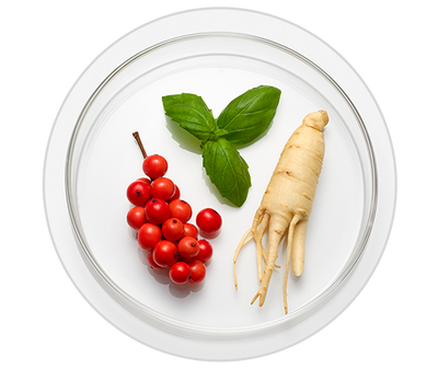 Adaptogenic Herbal Complex Kiehl's Ingredient