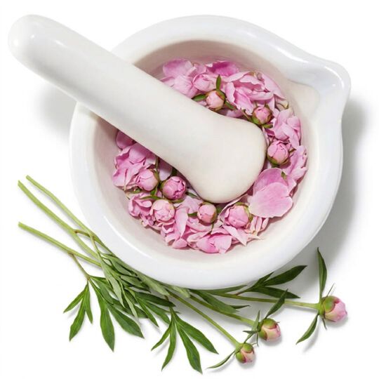 Mortier blanc avec des fleurs de pivoine, representant l'ingredient extrait de racine de pivoine