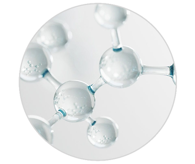 FERMENT LACTOBACILLUS