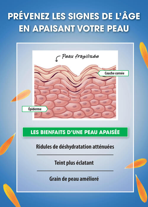 Routine hydratante