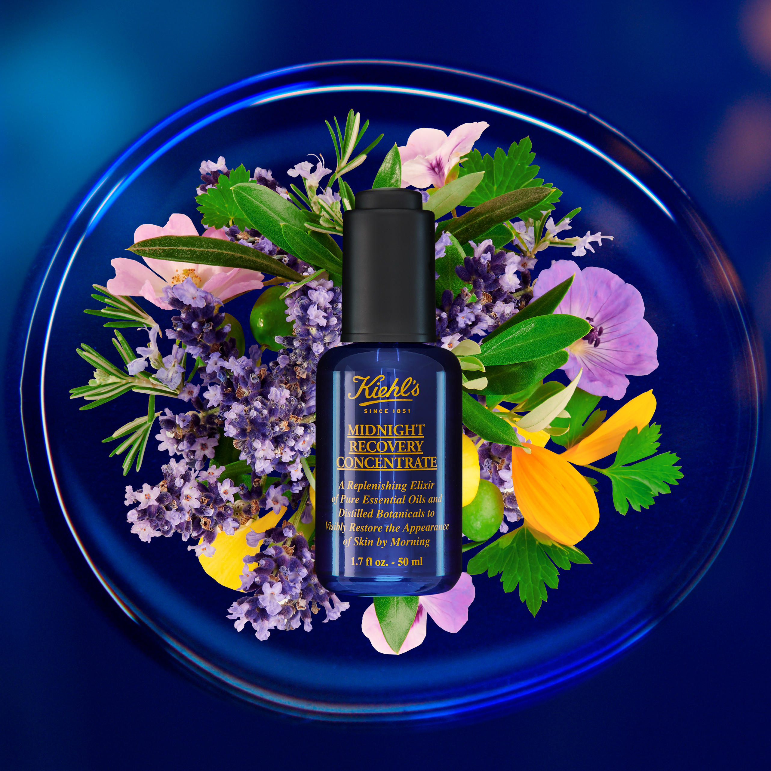 Ingrédients Midnight Recovery Concentrate
